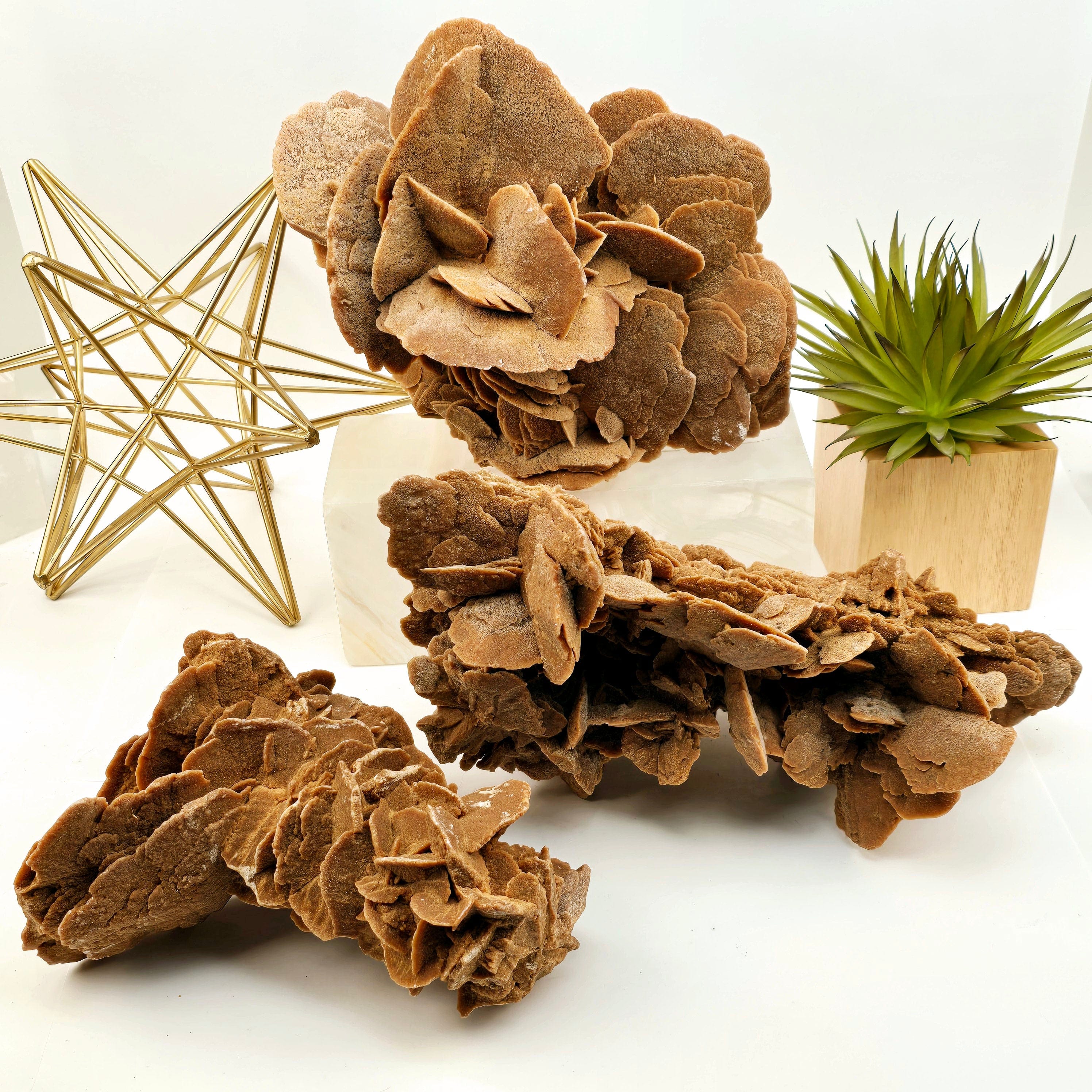 Desert Rose - Sand Rose Crystal Cluster from Morocco - You Choose