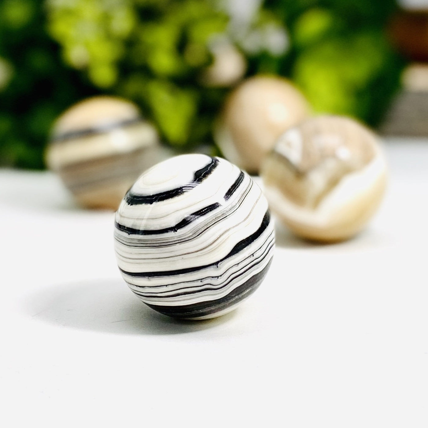 Zebra Onyx 5cm Polished Spheres displayed on white background