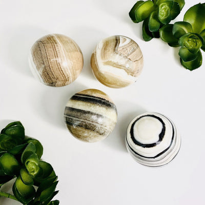 4 Zebra Onyx 5cm Polished Spheres displayed to show various patterns and colors