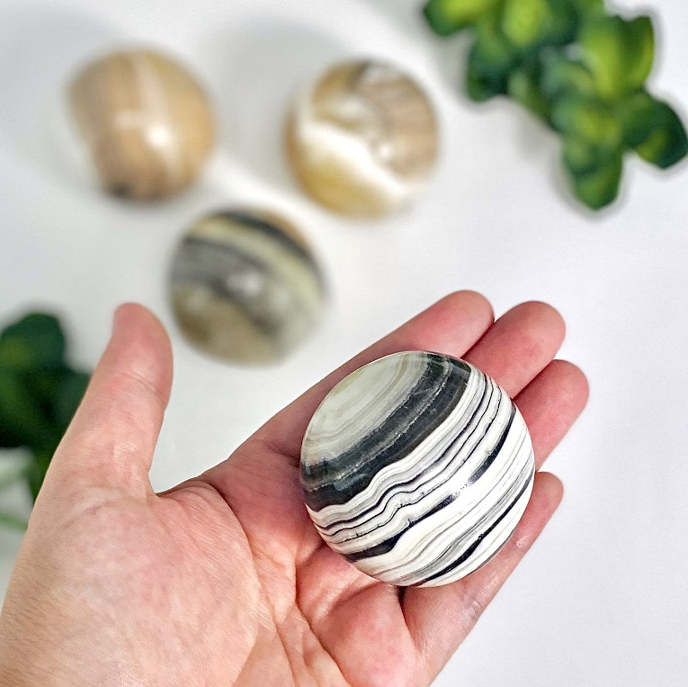 Zebra Onyx 5cm Polished Sphere in hand for size reference