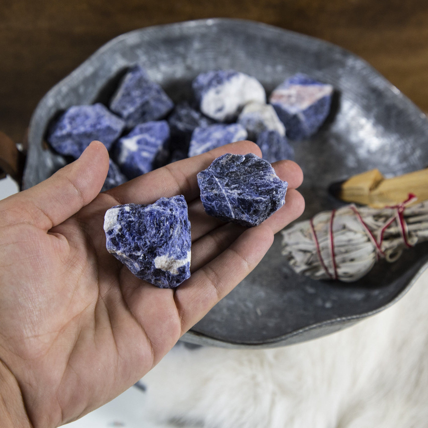 two sodalite rough stones in hand for size reference and possible variations with many others in the background