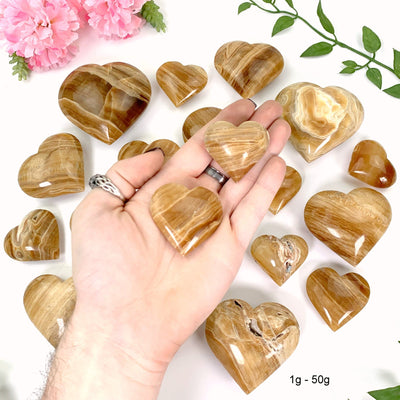 2 1gram - 50 gram hearts in hand with a white background
