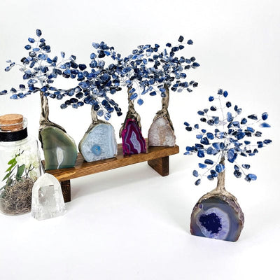 multiple colored geodes trees with sodalite tumbled stones on the top portion 