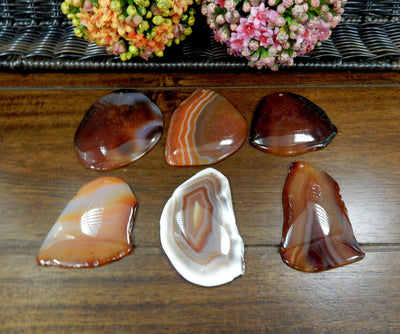 6 Red FreeForm Agate Slices with Polished Edge on Wooden Background.