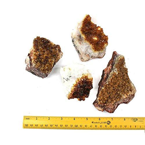 4 citrine clusters next to a ruler for size reference