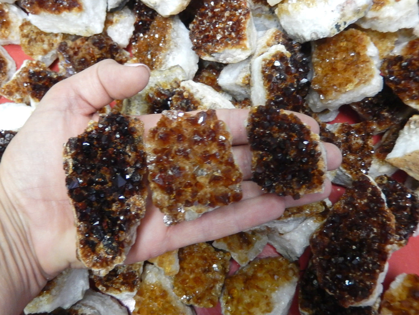 3 citrine clusters in a hand