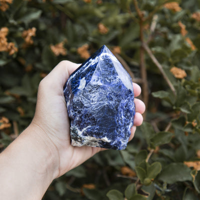 hand holding up sodalite semi polished point with plants in the background