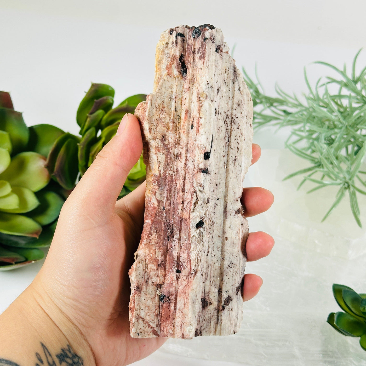 Black Tourmaline and Feldspar Rough Crystal Cut Base - One-of-a-Kind in hand for size reference with props and plants in the background