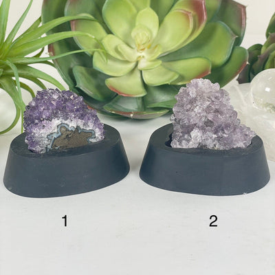 Amethyst Pine Crystal Cluster on Wooden Base from Uruguay - You Choose #4 variants 1 and 2 labeled