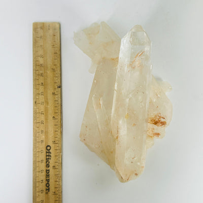 lemurian tangerine quartz next to a ruler for size reference