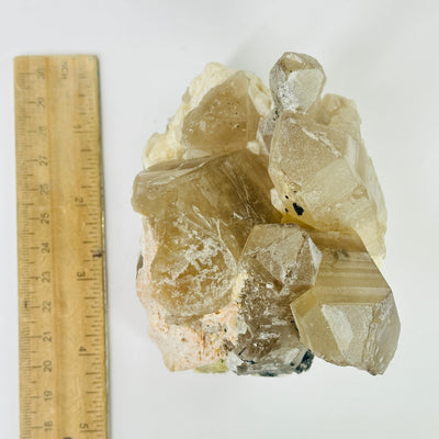 citrine with smokey quartz next to a ruler for size reference