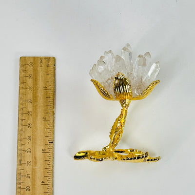 crystal quartz point rose next to a ruler for size reference