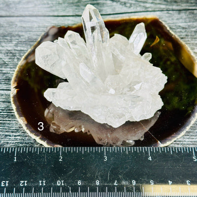 Crystal Quartz Cluster - AA Grade - You Choose #6 variant 3 labeled