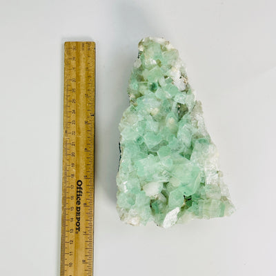 green apophyllite on matrix next to a ruler for size reference