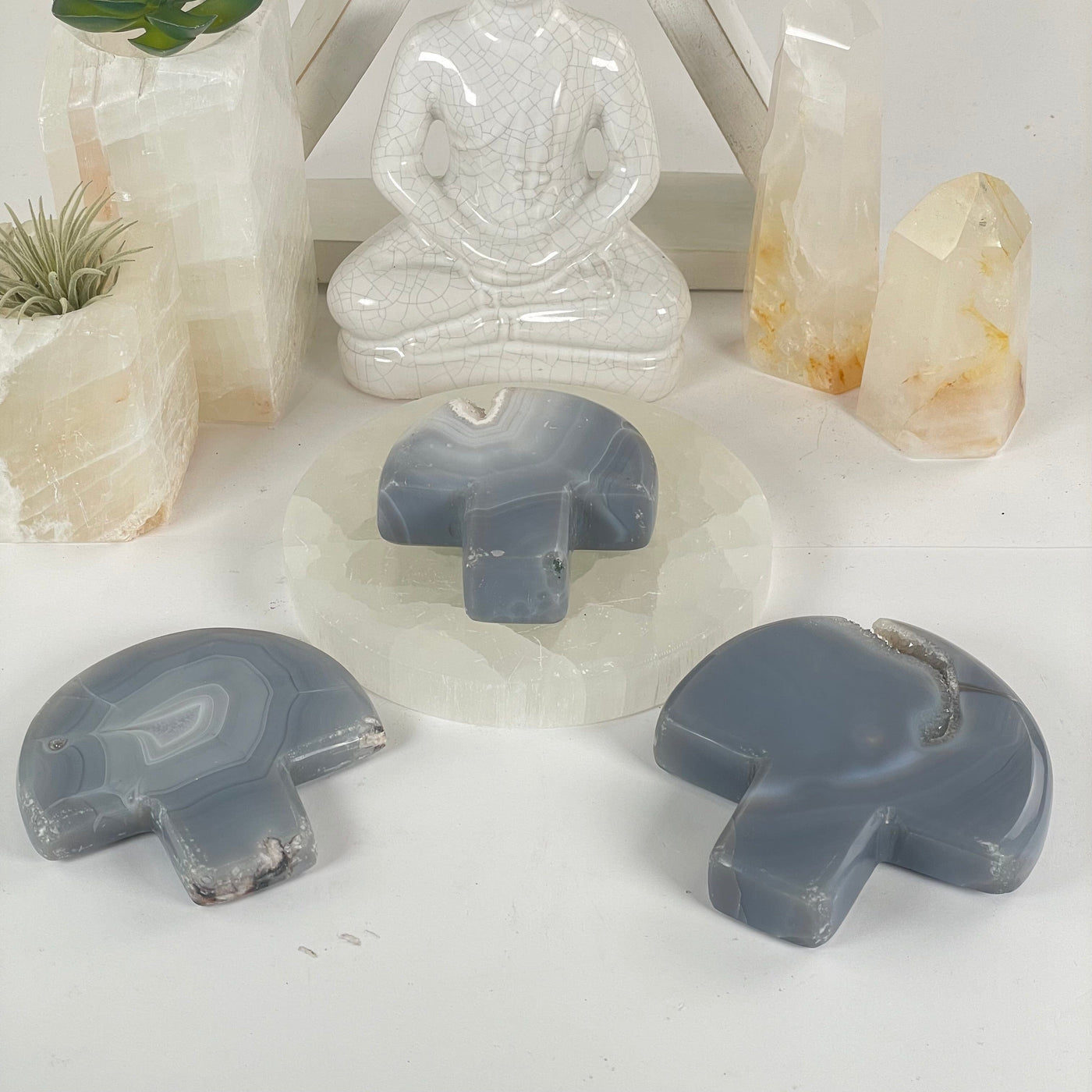 Agate Druzy Crystal Mushroom - You Choose all variants side view