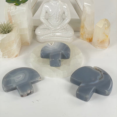 Agate Druzy Crystal Mushroom - You Choose all variants side view