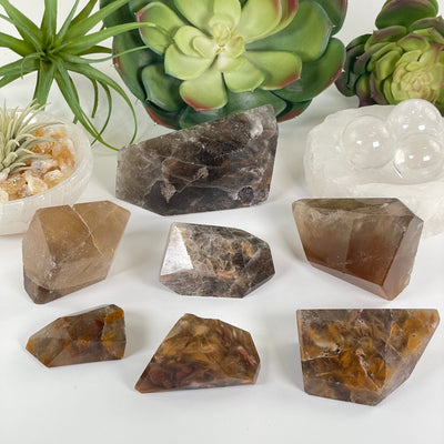 Amphibole Quartz Polished Freeform Crystal - As Is - You Choose all variants with props and plants in the background
