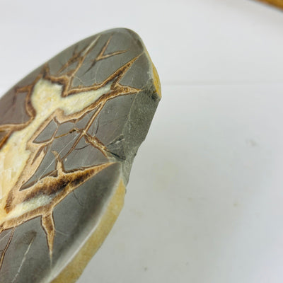 up close shot of chipped part of septarian coaster