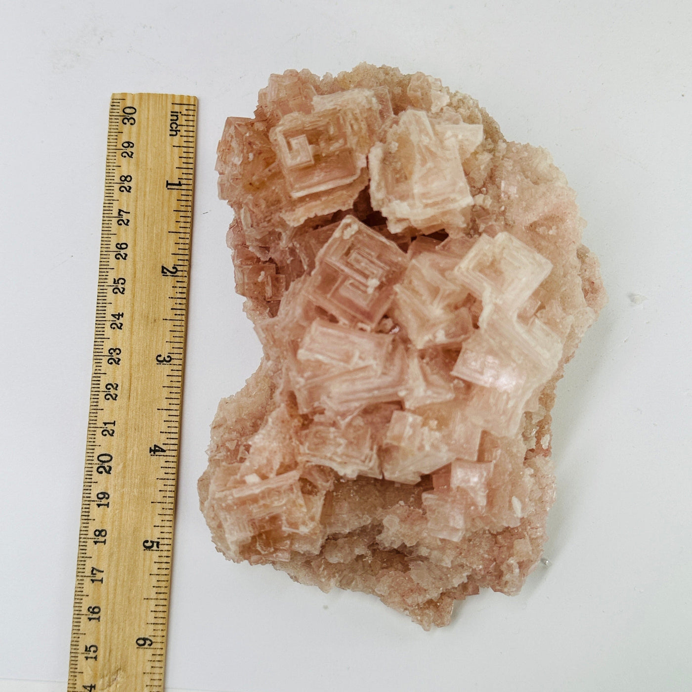 halite cluster next to a ruler for size reference