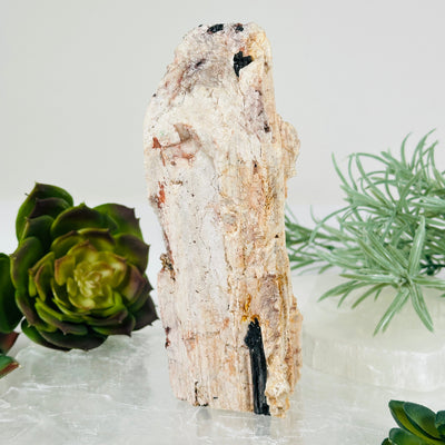 Black Tourmaline and Feldspar Rough Crystal Cut Base - One-of-a-Kind back view