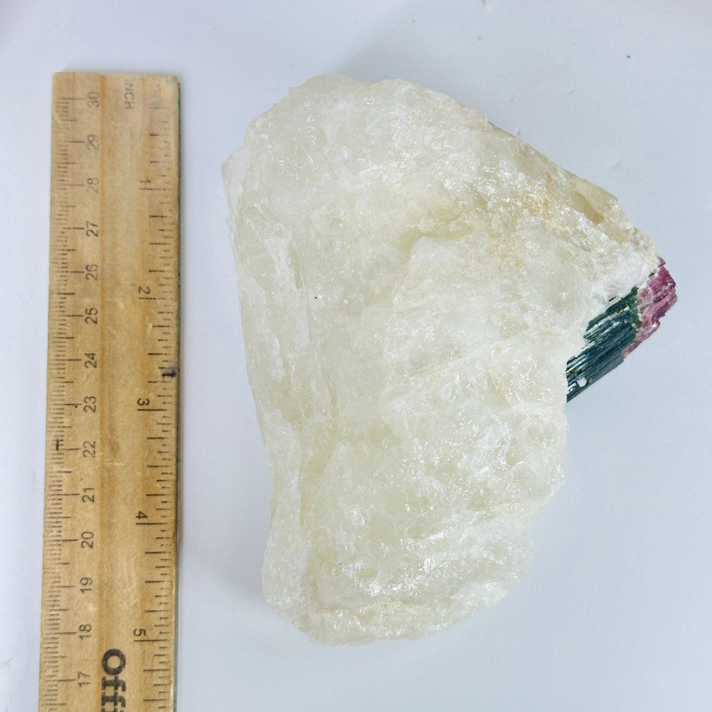 watermelon tourmaline next to a ruler for size reference