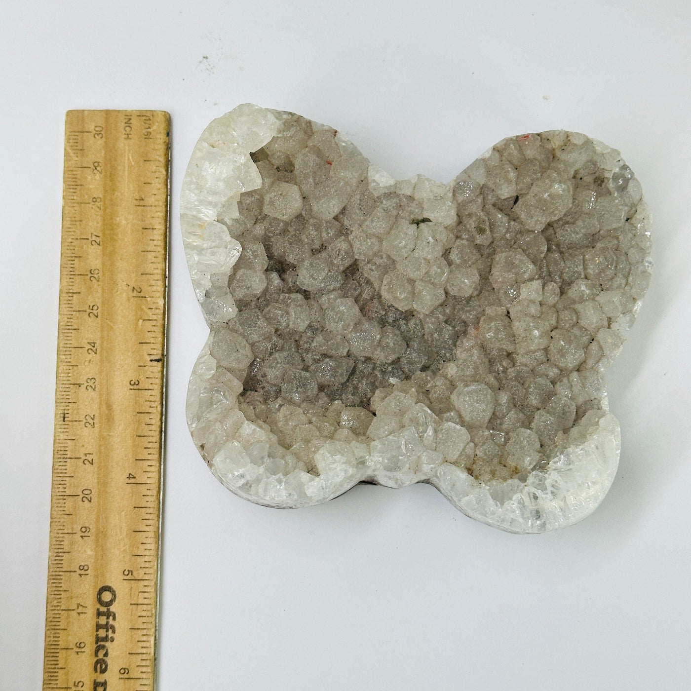 druzy butterfly next to a ruler for size reference