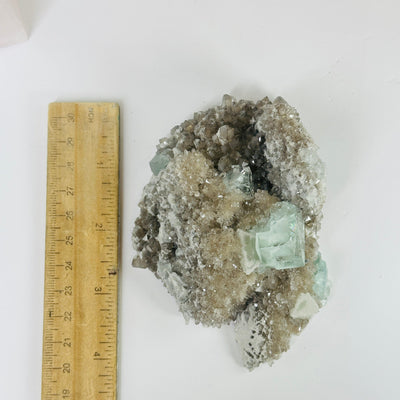 Blue fluorite crystal next to a ruler for size reference