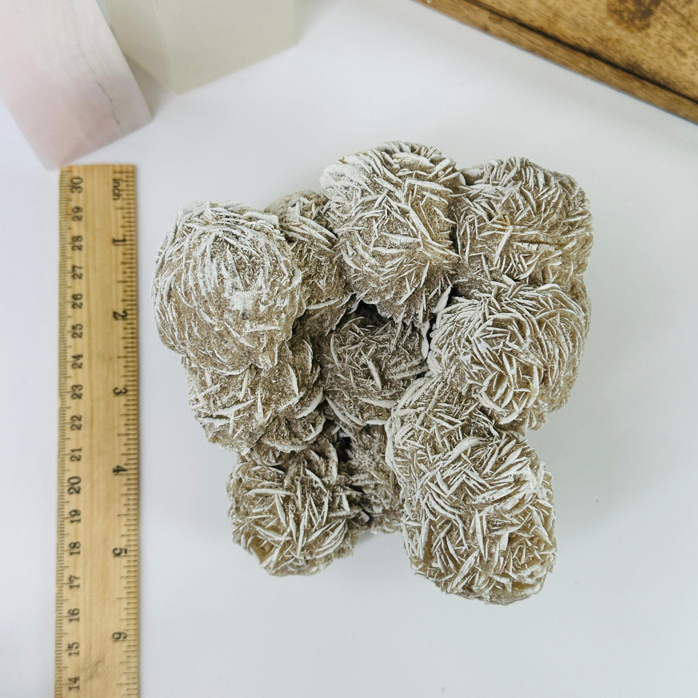 desert rose cluster next to a ruler for size reference