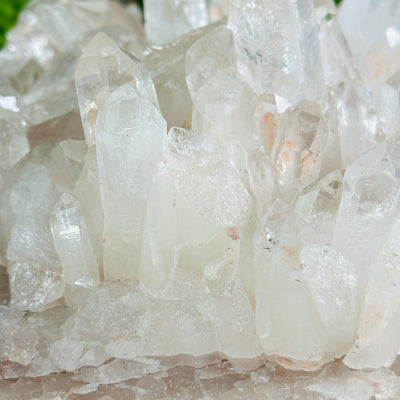 Lemurian Tangerine Quartz - High Grade Crystal Cluster - One-of-a-Kind #3 closeup for detail