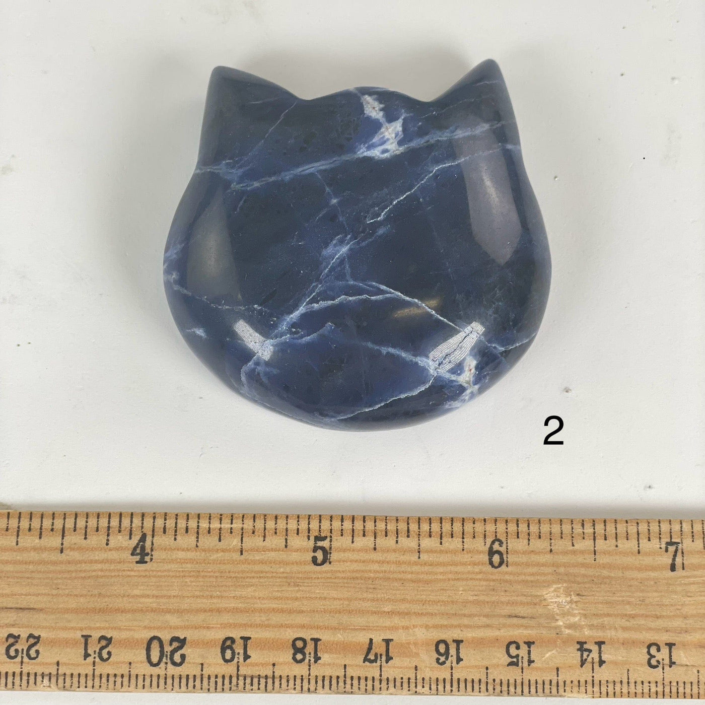 Sodalite Polished Crystal Cat Head - You Choose variant 2 labeled with ruler for size reference