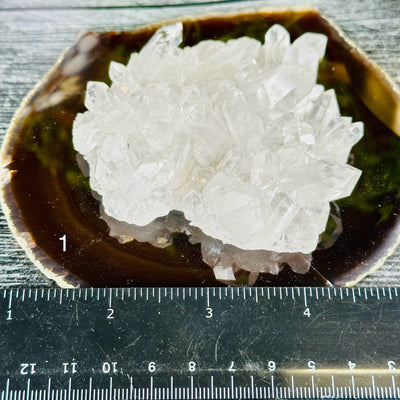 Crystal Quartz Cluster - AA Grade - You Choose #6 variant 1 labeled