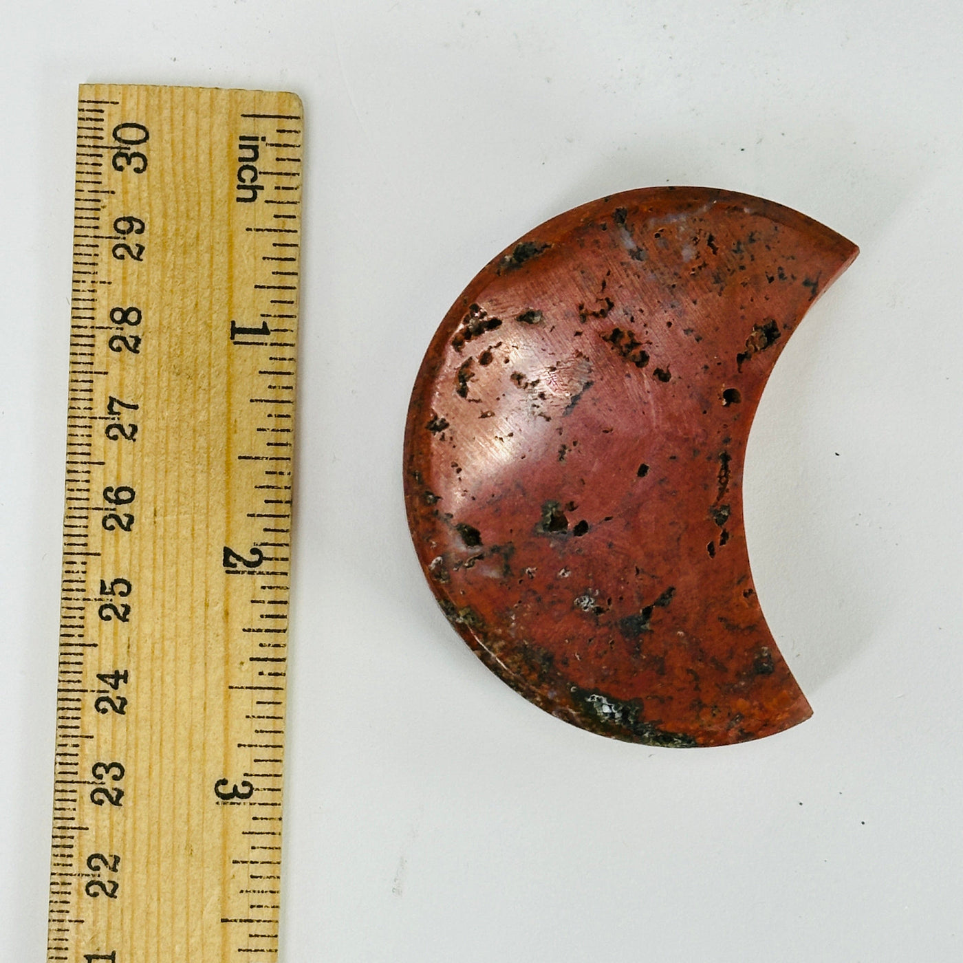 jasper moon next to a ruler for size reference