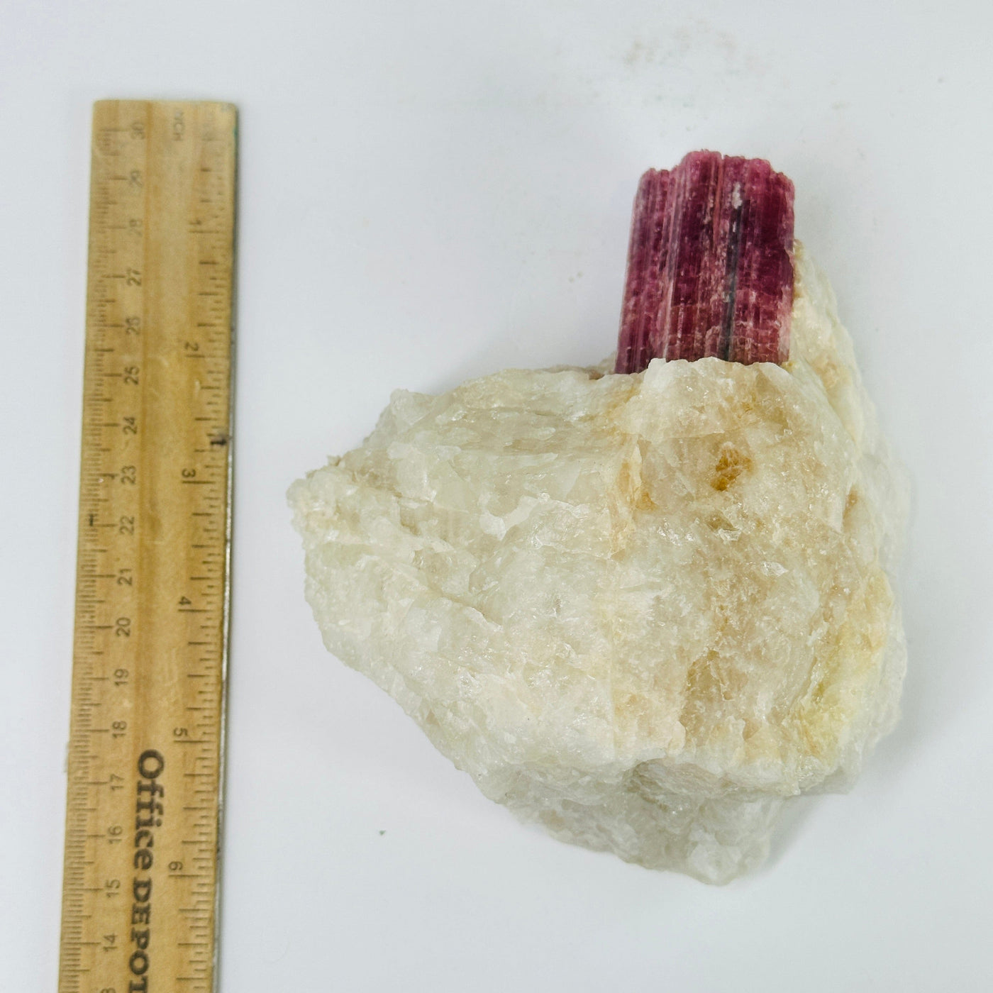 watermelon tourmaline next to a ruler for size reference