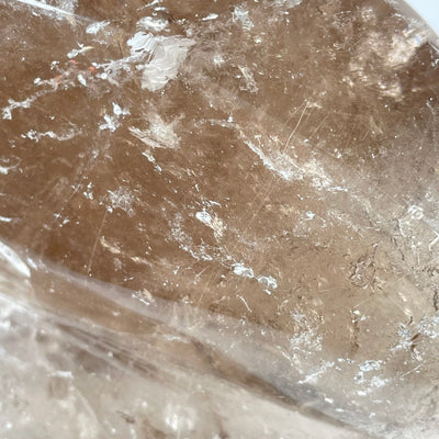 Rutilated Smoky Quartz Crystal Conch Shell - One-of-a-Kind closeup for detail