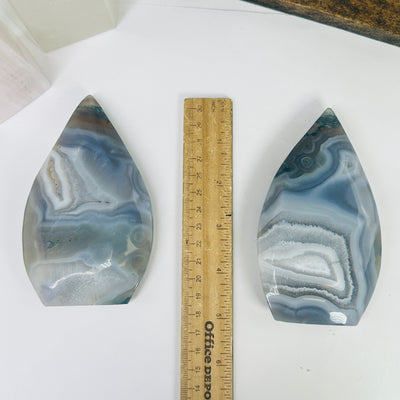 moss agate cut base next to a ruler for size reference