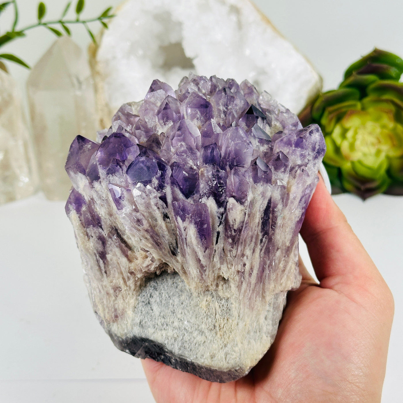 Elestial Amethyst Crystal Cluster #3 in hand for size reference with props and plants in the background