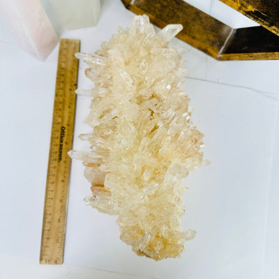 lemurian quartz next to a ruler for size reference