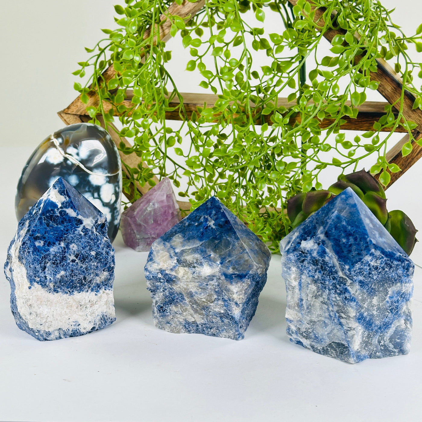 Sodalite Semi Polished Crystal Point - You Choose all variants with props and plants in the background