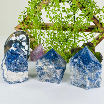 Sodalite Semi Polished Crystal Point - You Choose all variants with props and plants in the background