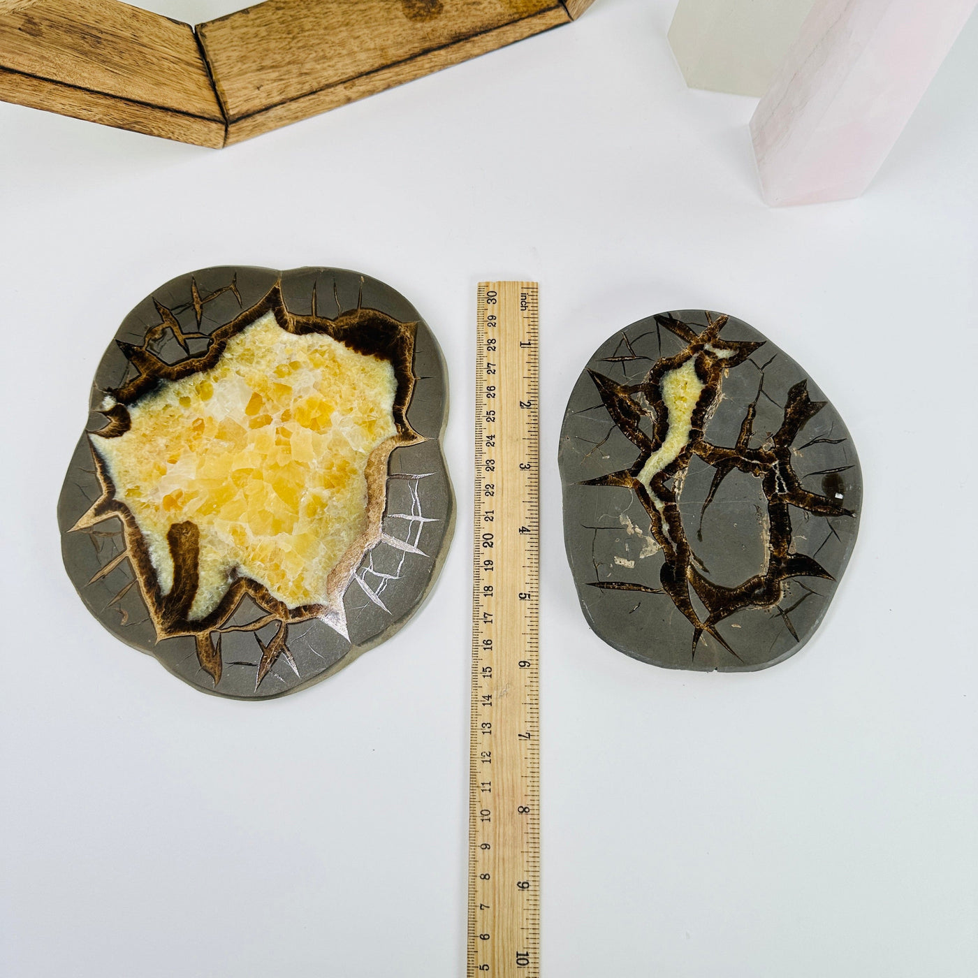 Septarian platter next to a ruler for size reference