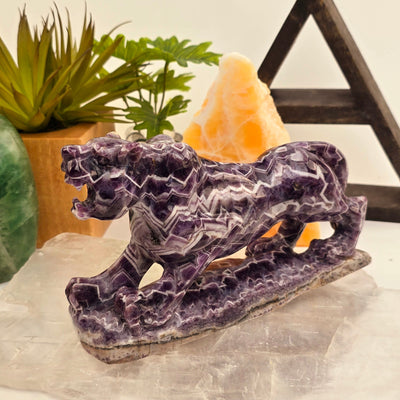 Chevron Amethyst Jaguar Statue - Carved Crystal Wildcat with Base - OOAK side view with props in background