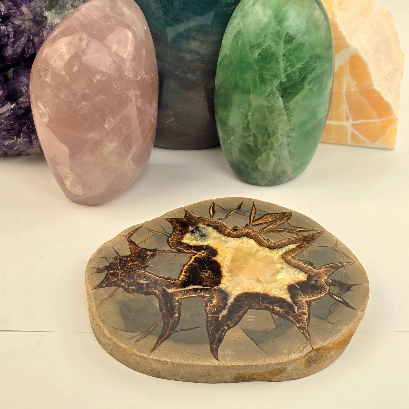 Utah Septarian - Polished Crystal Coaster - OOAK side view with props in background