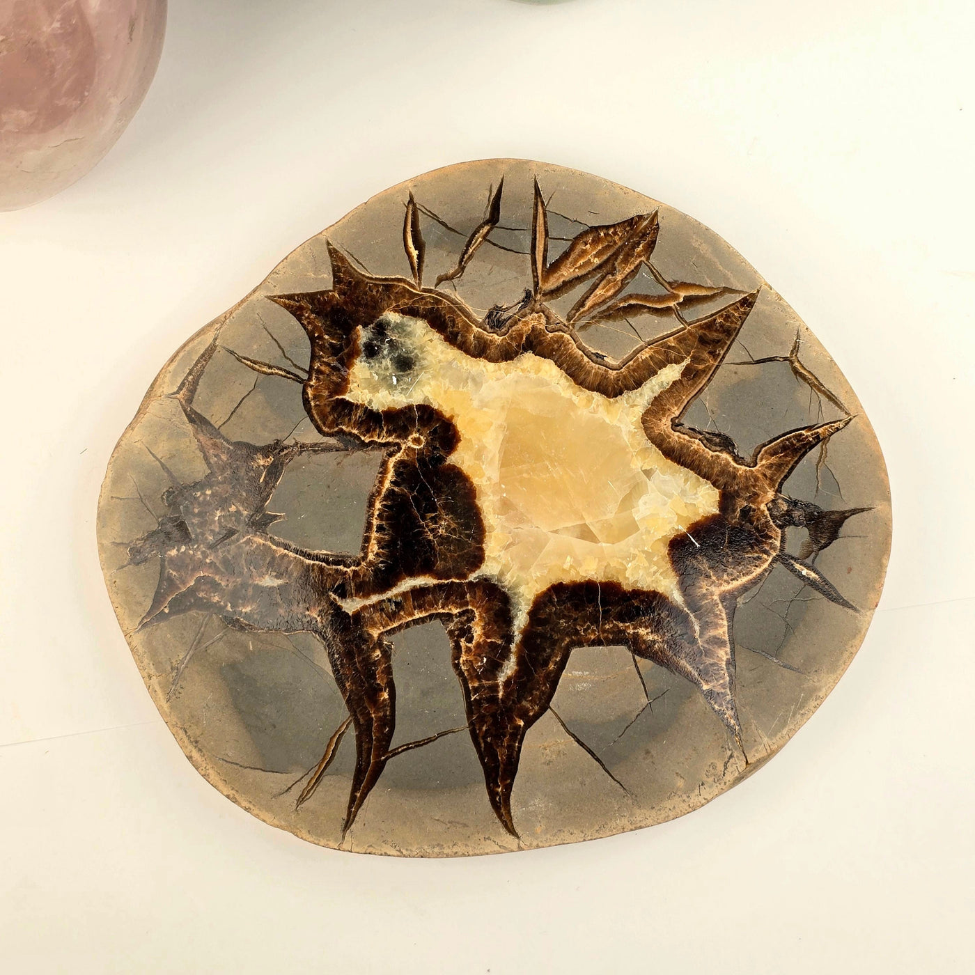 Utah Septarian - Polished Crystal Coaster - OOAK top view