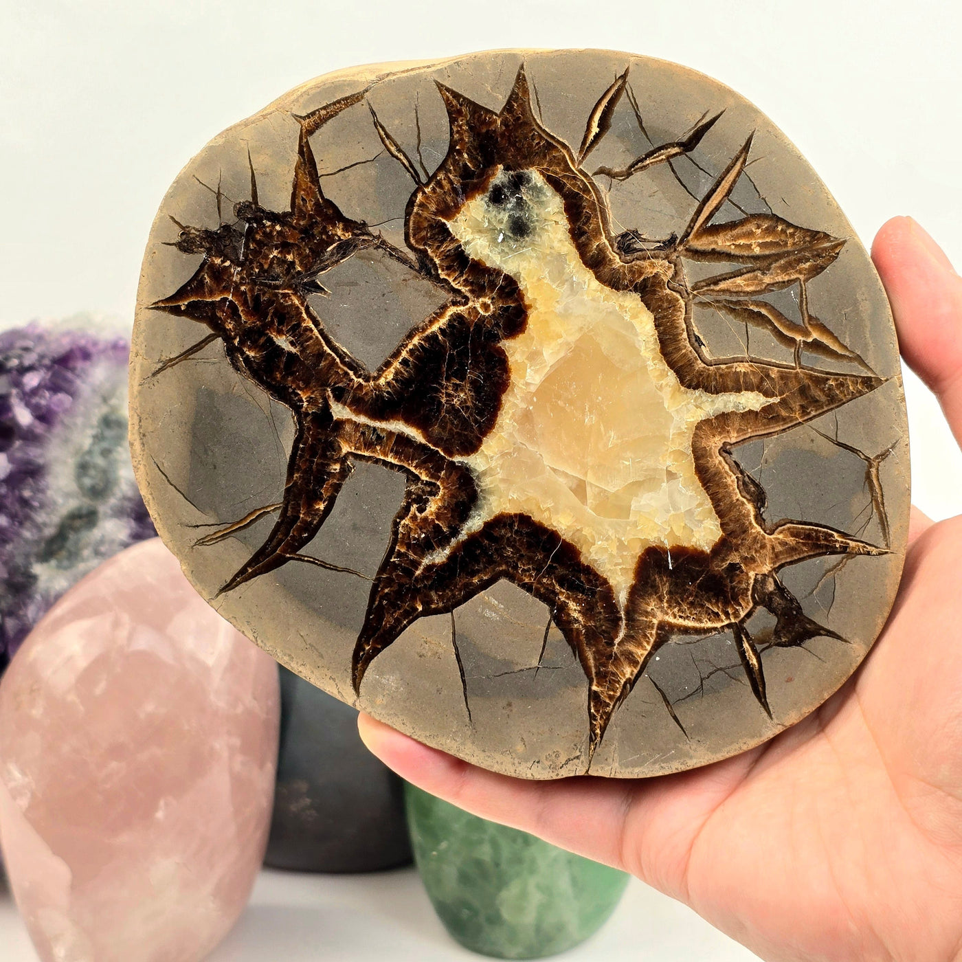 Utah Septarian - Polished Crystal Coaster - OOAK in hand for size reference