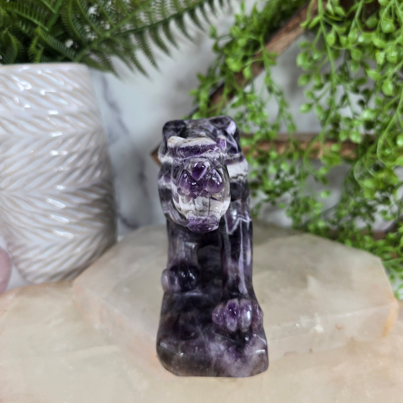 Chevron Amethyst Jaguar Statue - Carved Crystal Wildcat - OOAK front view with props in the background