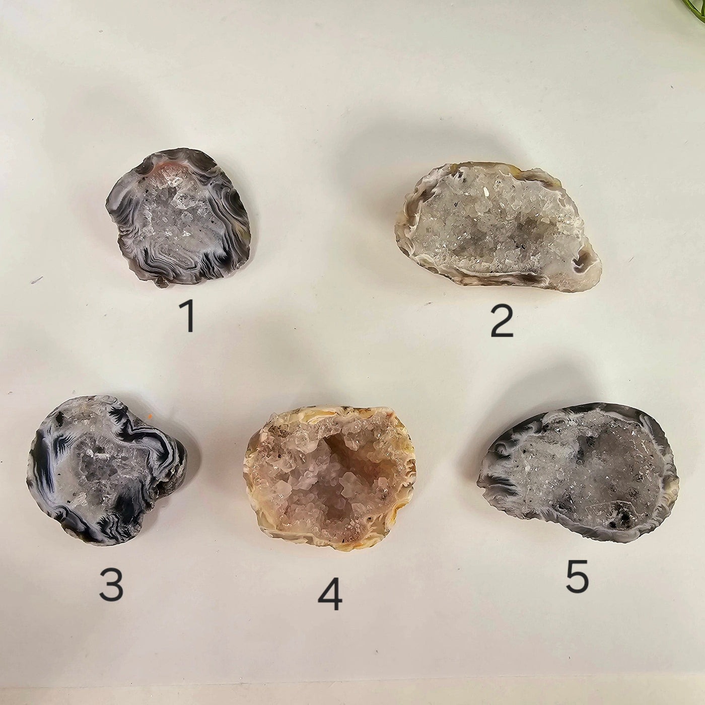 Agate Geode Half - Occo Agate Crystal Geode - You Choose variants 1, 2, 3, 4, 5 labeled