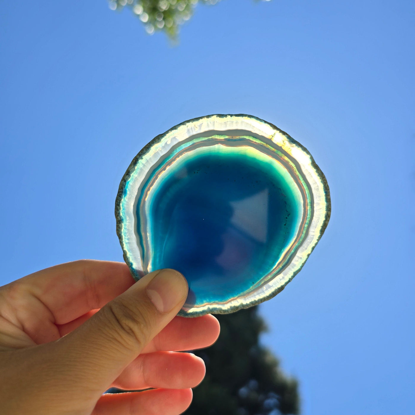 Agate Slice Set - Set of Six Blue Agate Crystal Coasters slice 1 backlit by sun