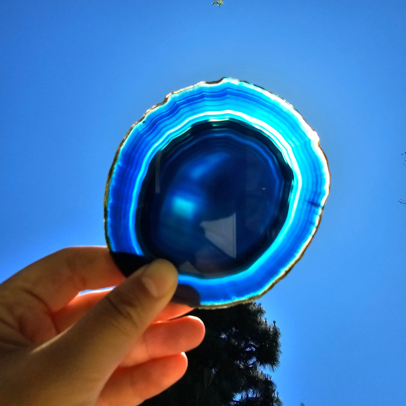 Agate Slice Set - Set of Six Blue Agate Crystal Coasters slice 6 backlit by sun