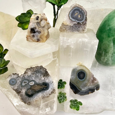 Semi Polished Crystal Stalactite Freeform - You Choose all variants arranged on selenite platforms with plants