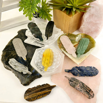 Crystal Feather - You Choose all variants arranged on different platters with plants and props in the background